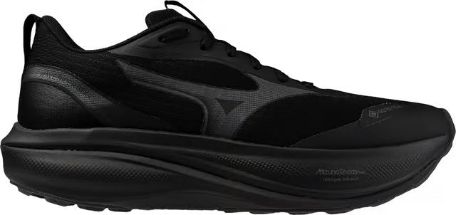 Chaussures Course Wave Rider GTX 4 FEMME