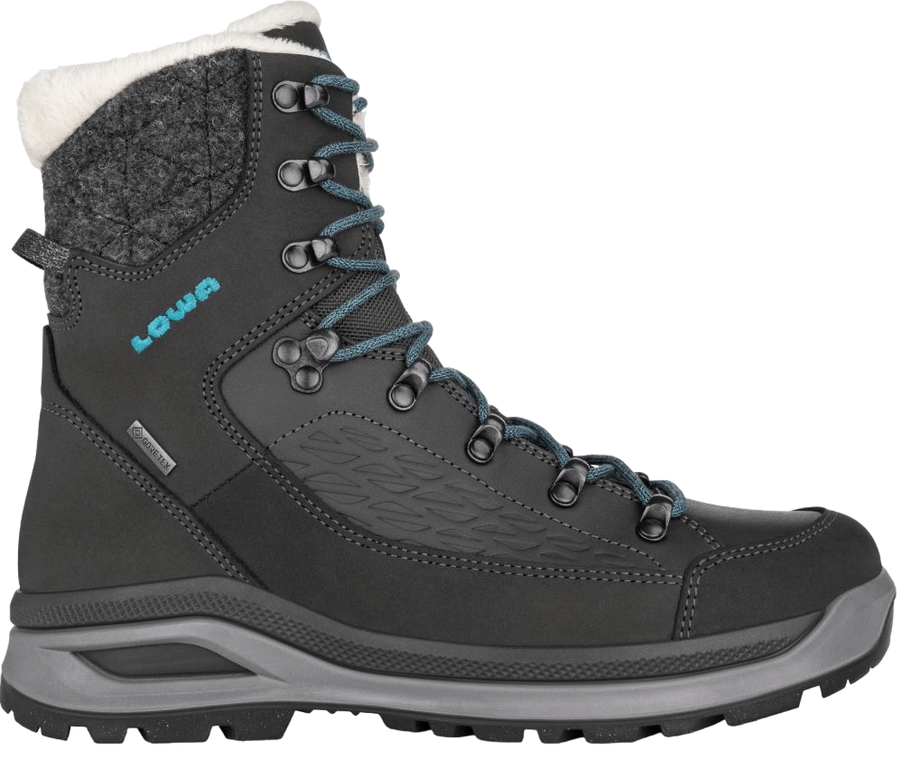 Renegade EVO ICE GTX-9776-Anthracite/Petr-1