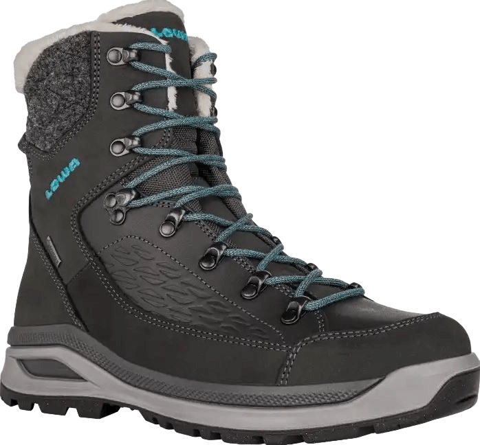 Renegade EVO ICE GTX-1