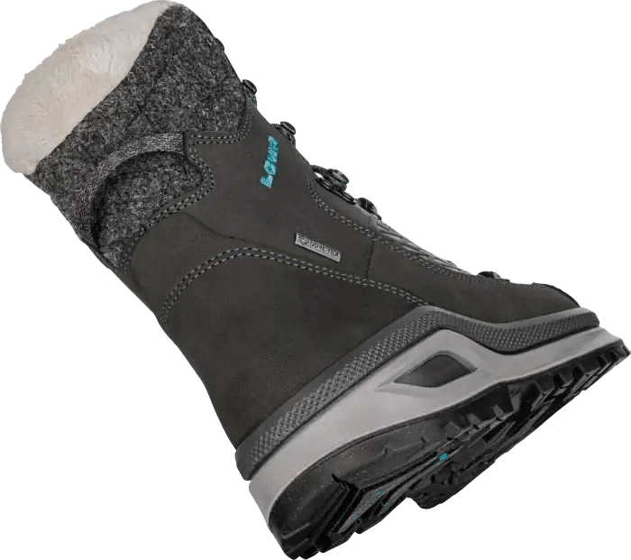 Renegade EVO ICE GTX-4