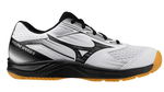 Cyclone Speed 5-1
