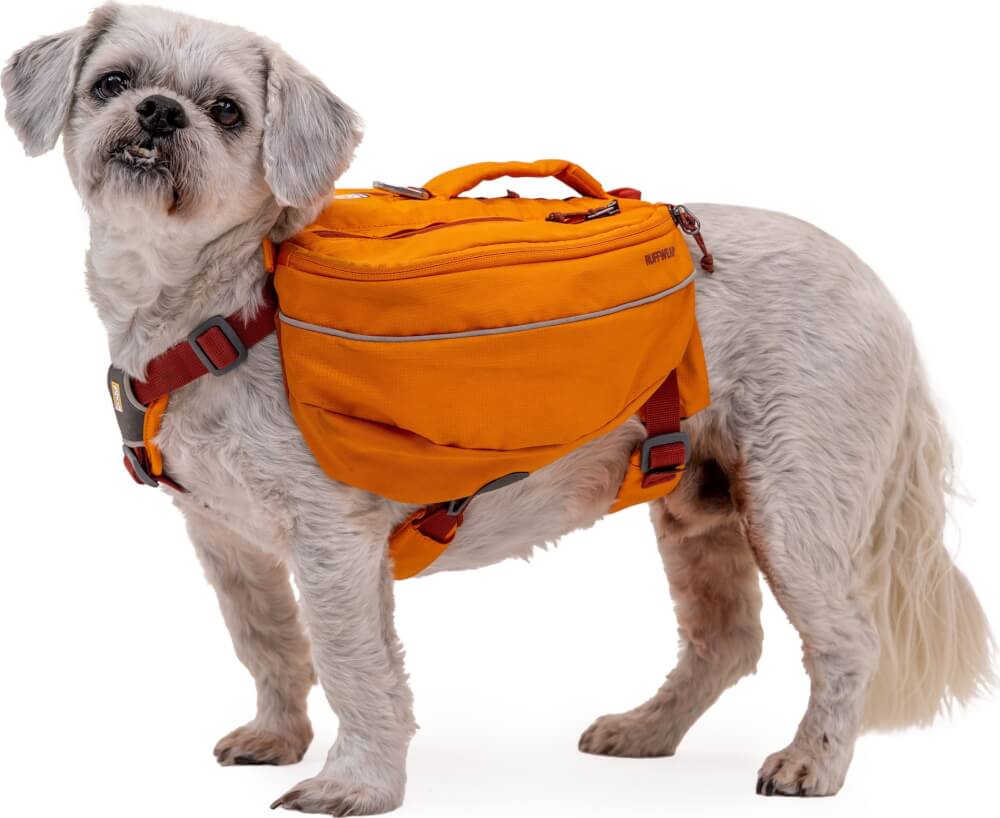Approach Pack-2