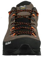ALP Trainer 2 GTX-8