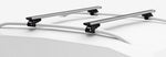 Wing BAR EVO 135 (53") Argent-2