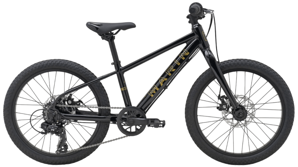 Bayview Trail 20-Black/Gold-1