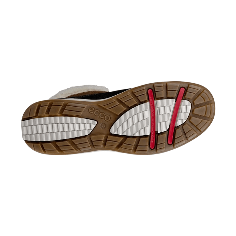 Trace Lite WP-3
