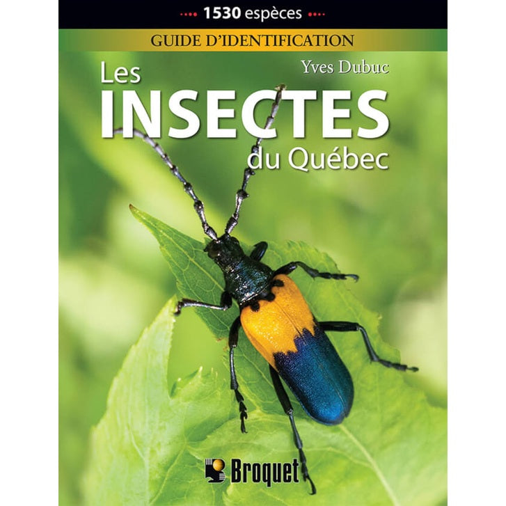 Insectes du Québec LES N.e.-1