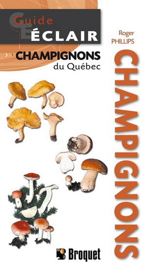 Champignons-2