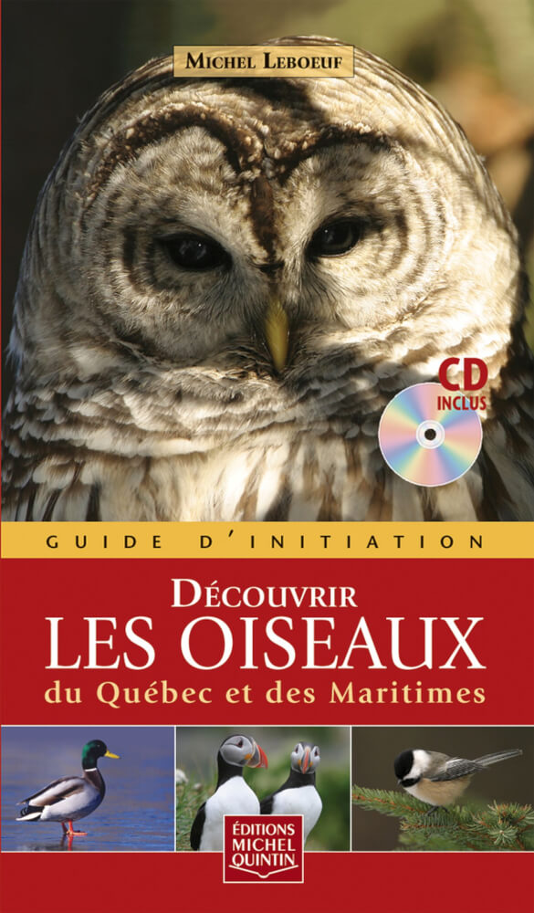 Texte alternatif de l'image