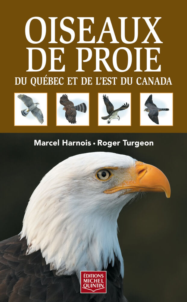 Texte alternatif de l'image