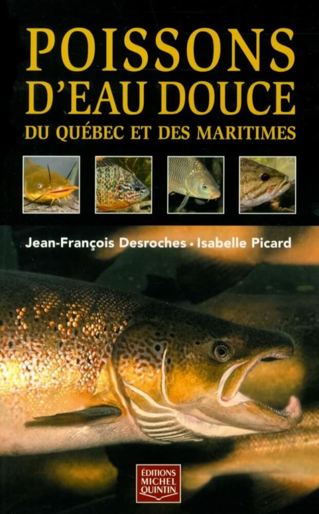 Texte alternatif de l'image