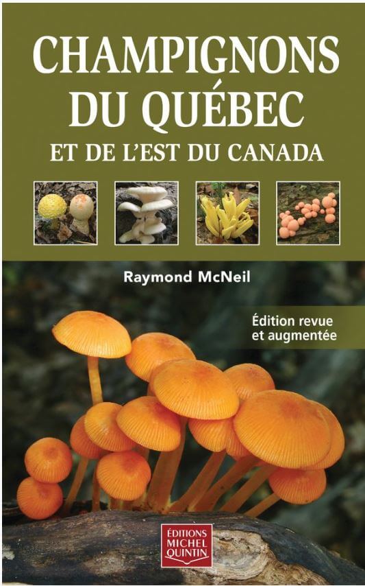 Texte alternatif de l'image