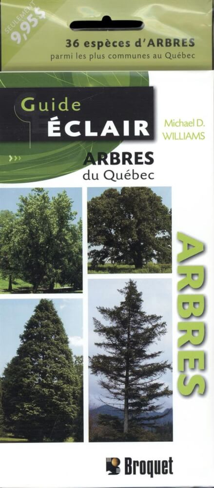 Arbres-3