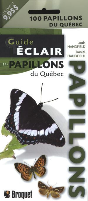 Texte alternatif de l'image