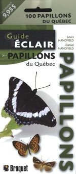 Papillons-1