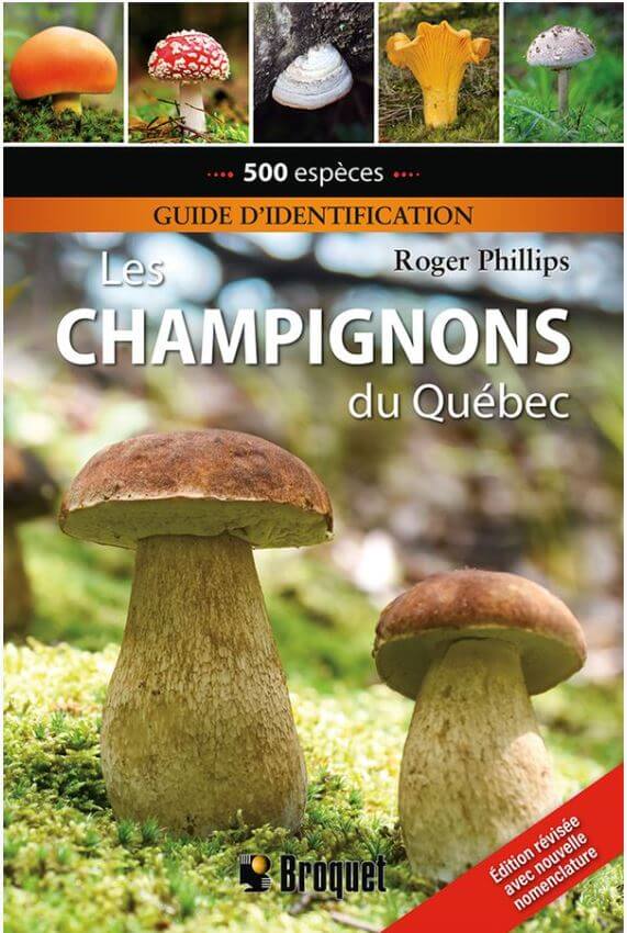 Texte alternatif de l'image