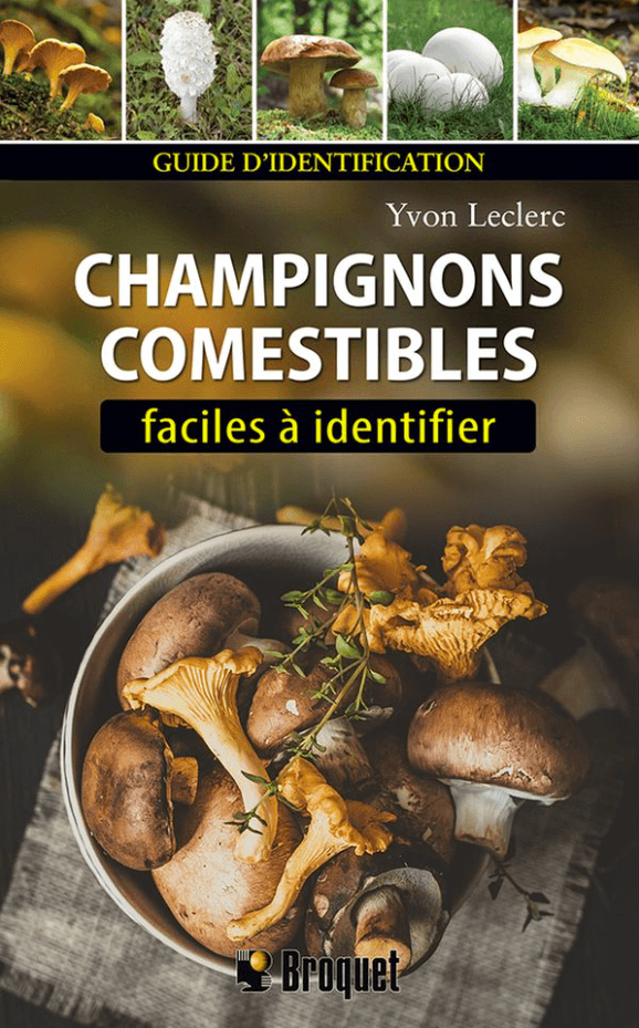 Champignons Comestibles Faciles À Identi-1