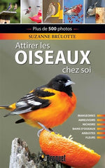 Attirer LES Oiseaux Chez SOI N.e.-1