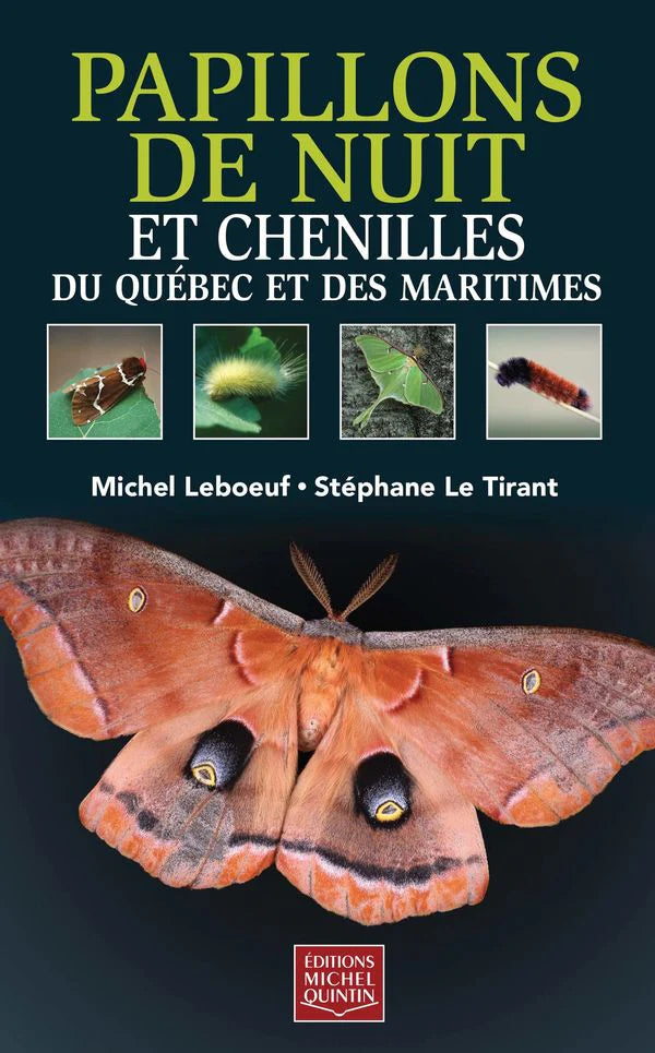 Papillons de Nuit ET Chenilles du Québec-1