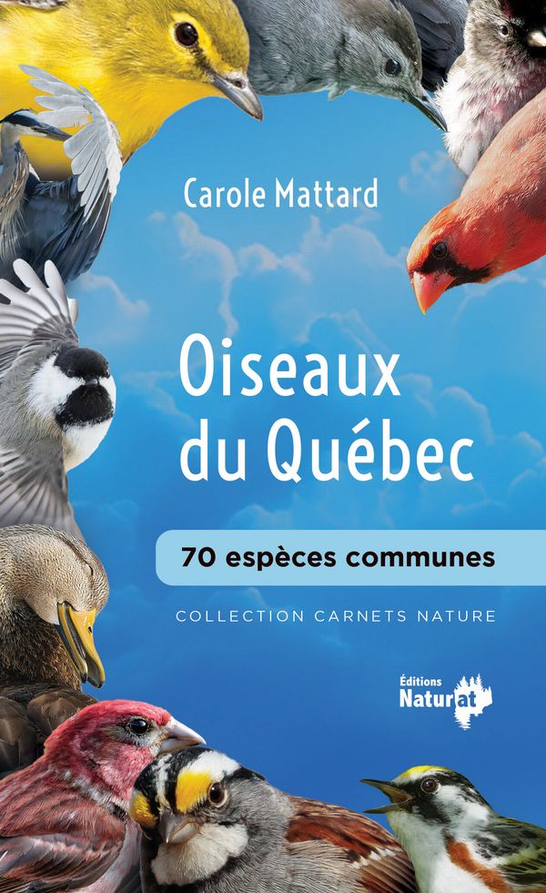 Oiseaux du Québec 70 Espèces Communes-1