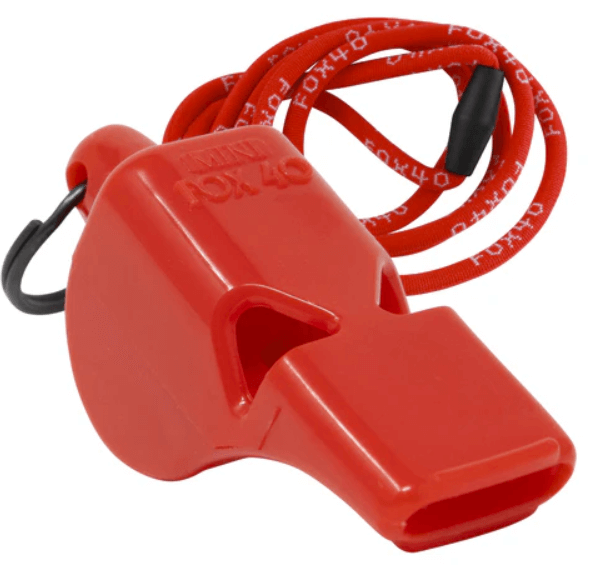 Mini W-Lanyard-2
