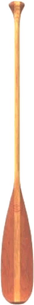 Castor Frene Cerisier 54-1