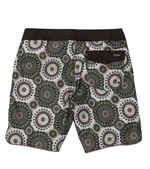 Barnacle Stoney 19-5
