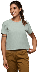 BD Stripe-43