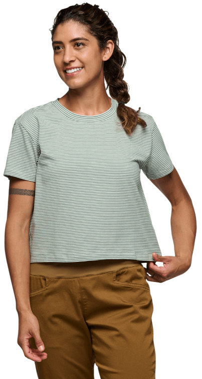 BD Stripe-11