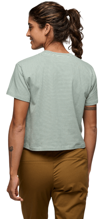 BD Stripe-26