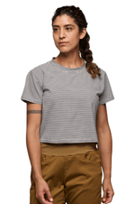 BD Stripe-2