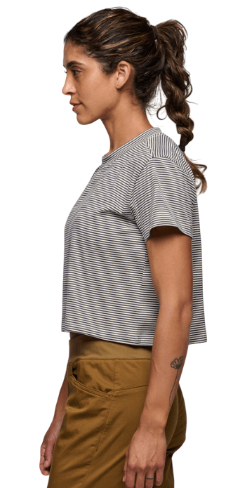 BD Stripe-36