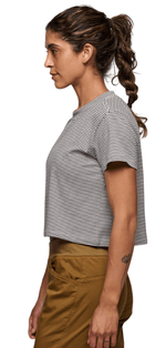 BD Stripe-3