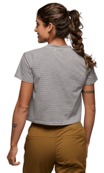 BD Stripe-21
