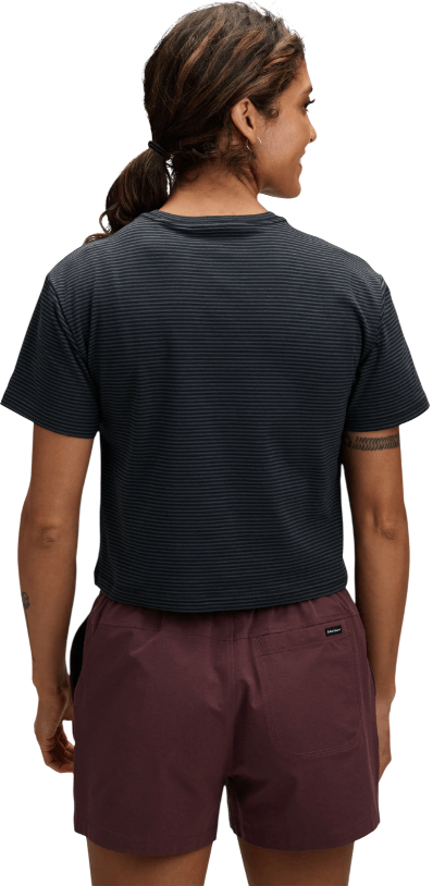 BD Stripe-14