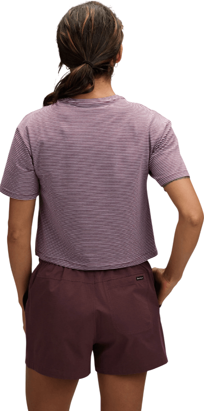 BD Stripe-22