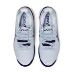 GEL-Resolution 8-23