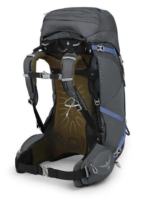 Aura 50 AG-13