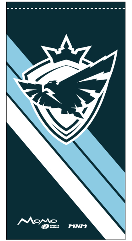 Bannière 36 X 18 Phoenix-2