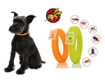 Colliers Tick Pour Chien-7
