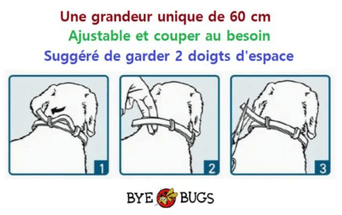 Texte alternatif de l'image