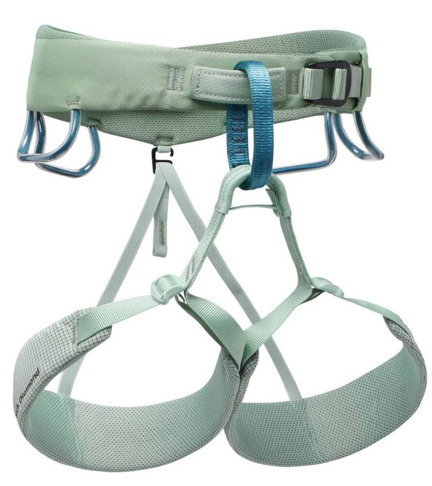 Momentum Harness Package-2