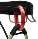 Solution Harness-8