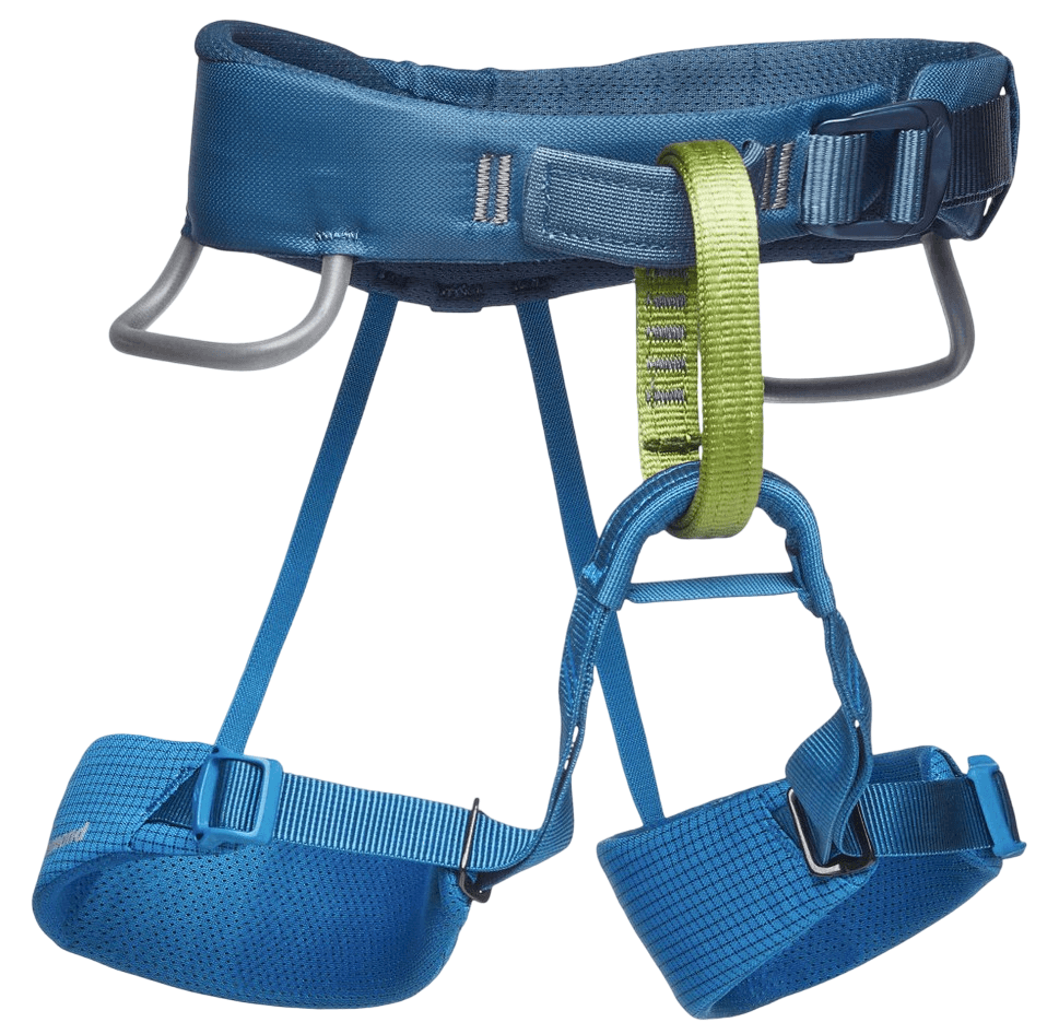 Momentum Harness-1