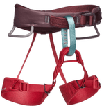 Momentum Harness-3