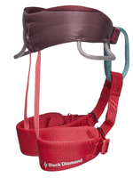 Momentum Harness-6