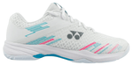 Cascade Accel-1