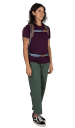 Daylite Cinch-33