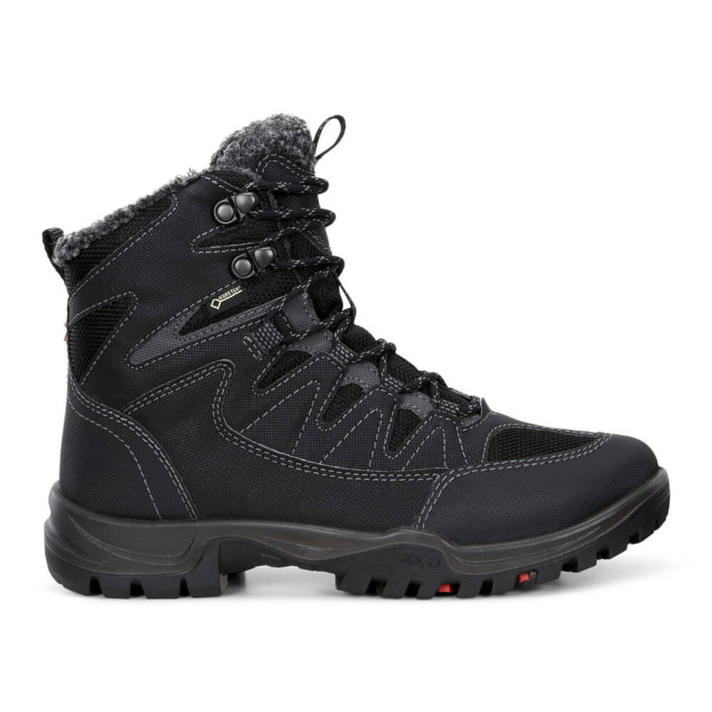 Xpedition III GTX-53859-Noir-1