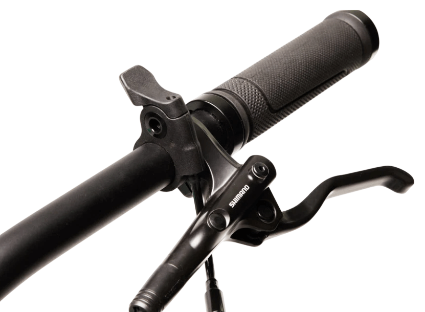 FAT Bike 2 V.1-28